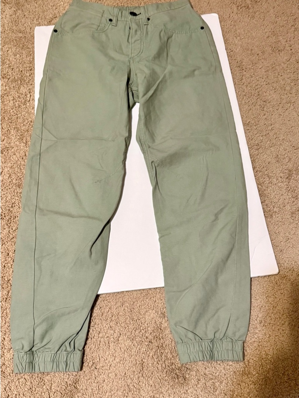 rag & bone Sage Green Women’s Track Joggers